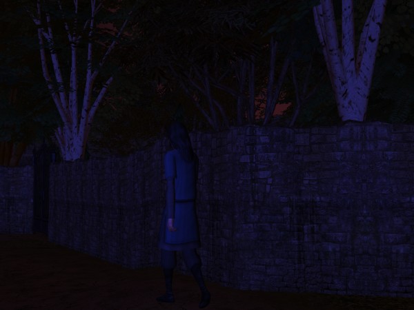Sigefrith turned his attention back to avoiding puddles.