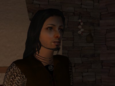 He was beginning to wonder whether Egelric was the best man to send to watch over the little mother and her children.