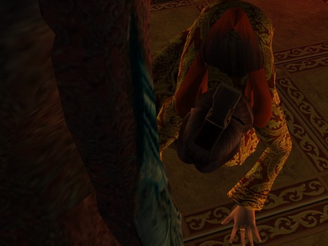 Saralla tapped the toe of her little slipper near Sorin's head.