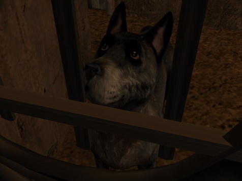 'You come too!'