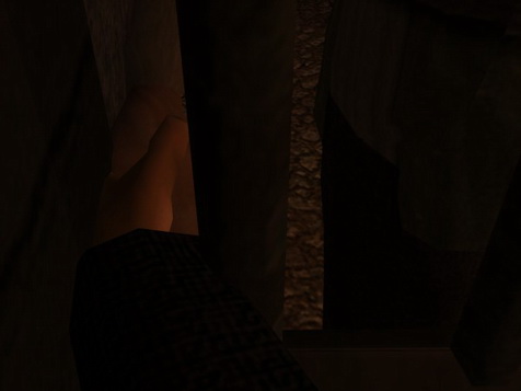 Cedric's hand leapt up and followed one of them through.
